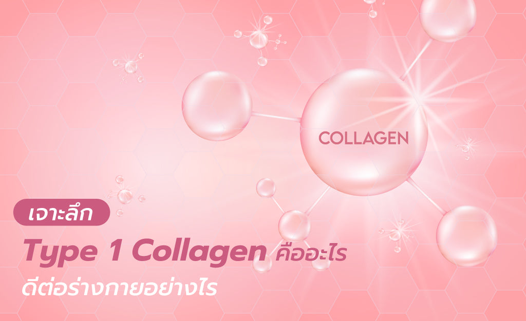 เจาะลึก Type 1 Collagen คืออะไร ดีต่อร่างกายอย่างไร